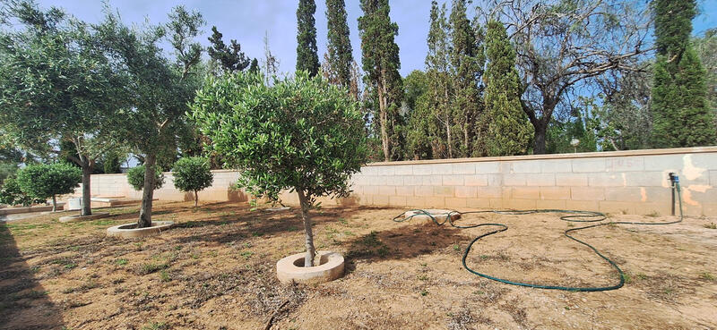 7 soverom Villa til salgs i Elx/Elche, Alicante