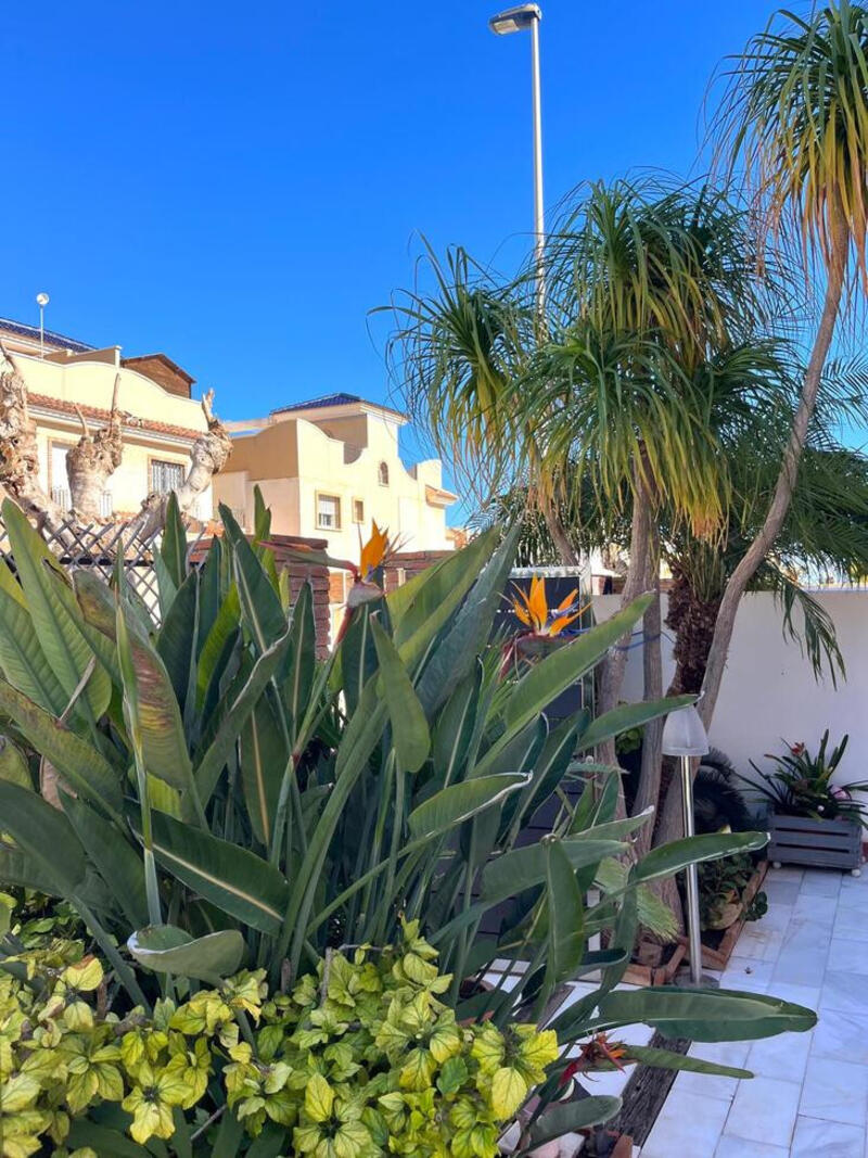 4 Schlafzimmer Villa zu verkaufen in Pilar de la Horadada, Alicante