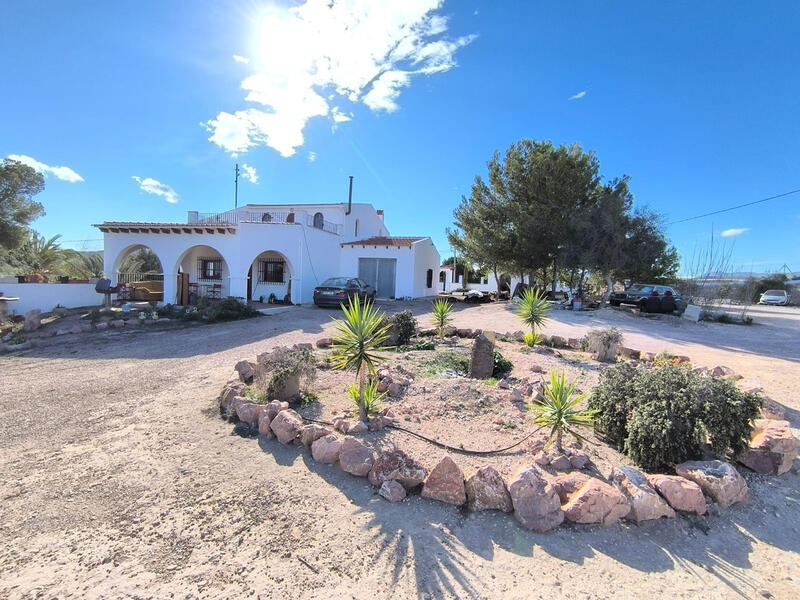 8 bedroom Villa for sale in Novelda, Alicante