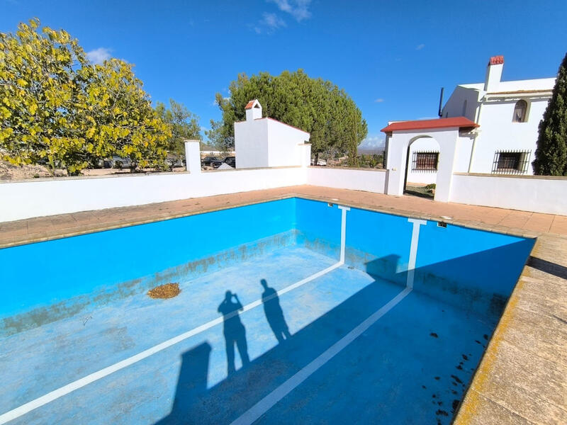 8 bedroom Villa for sale in Novelda, Alicante