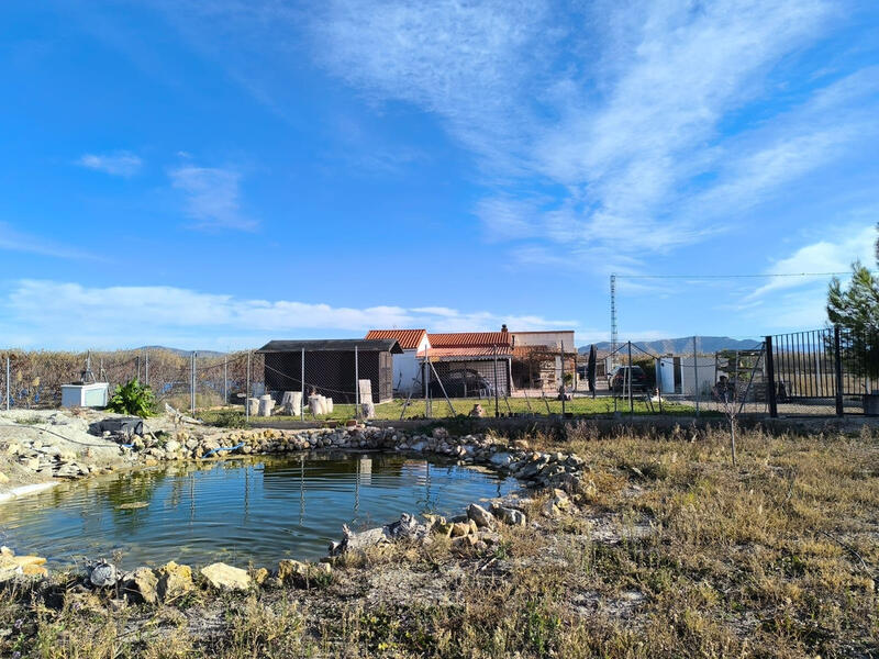 5 bedroom Villa for sale in Villena, Alicante