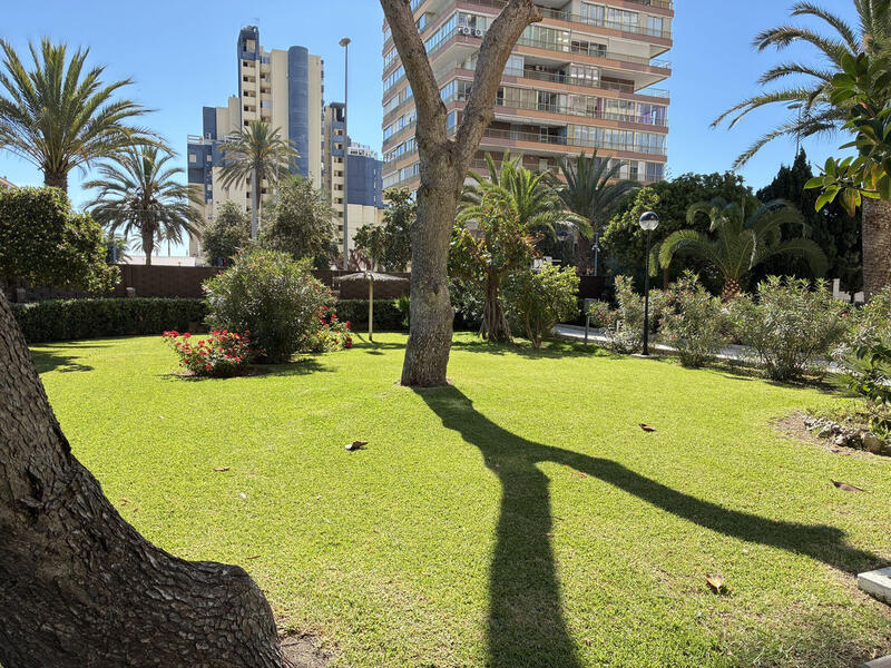 Appartement à vendre dans Alacant/Alicante, Alicante