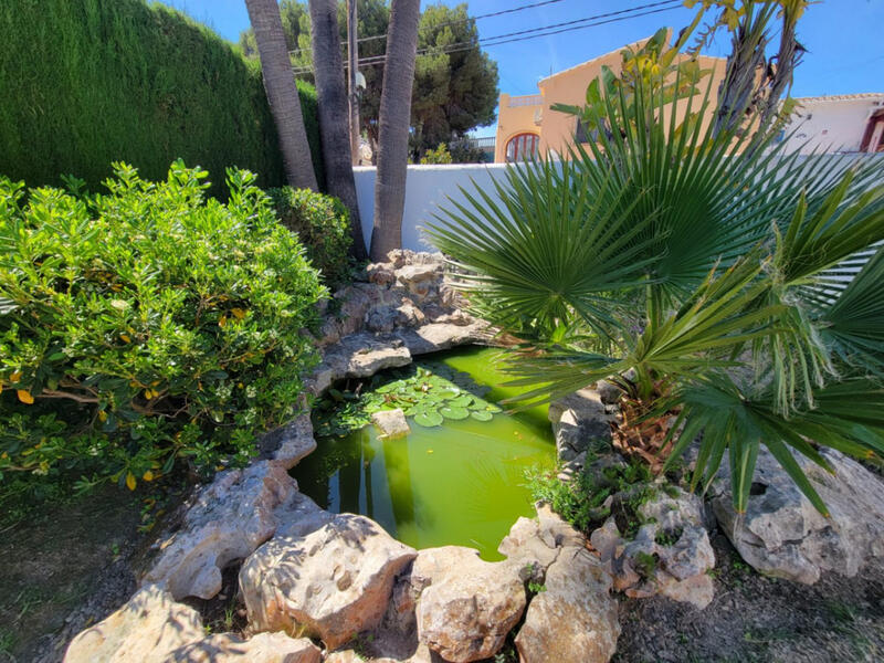 10 chambre Villa à vendre