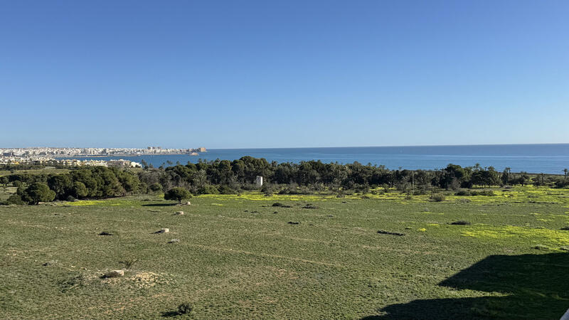 Leilighet til salgs i Punta Prima, Alicante