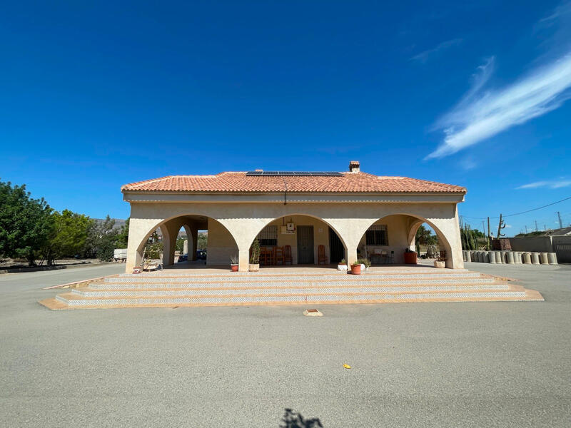 Villa for sale in Crevillent, Alicante