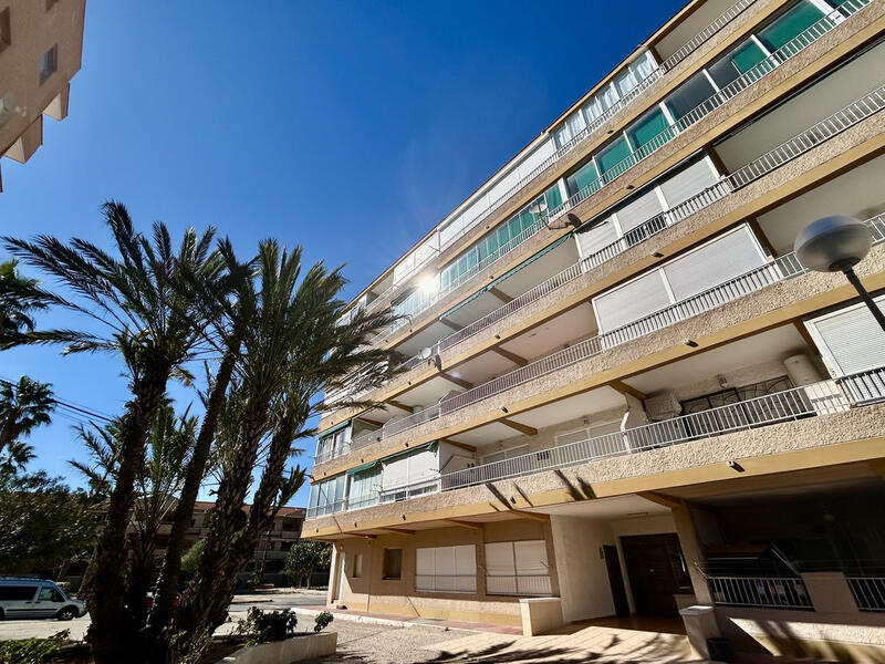 2 slaapkamer Appartement Te koop 2 slaapkamer Appartement Te koop