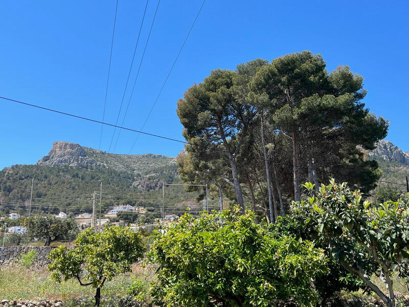 4 chambre Villa à vendre
