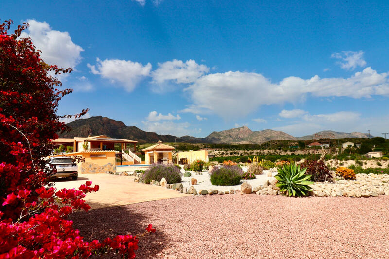 Villa for sale in Albatera, Alicante