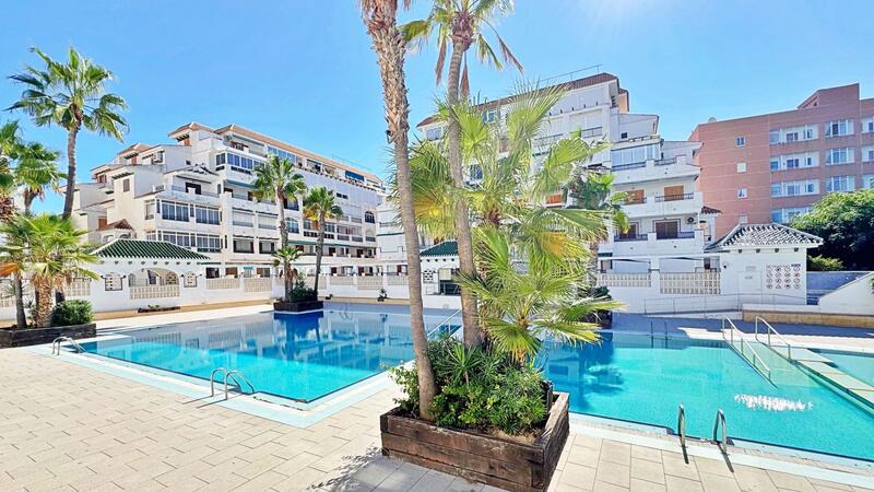 1 slaapkamer Appartement Te koop