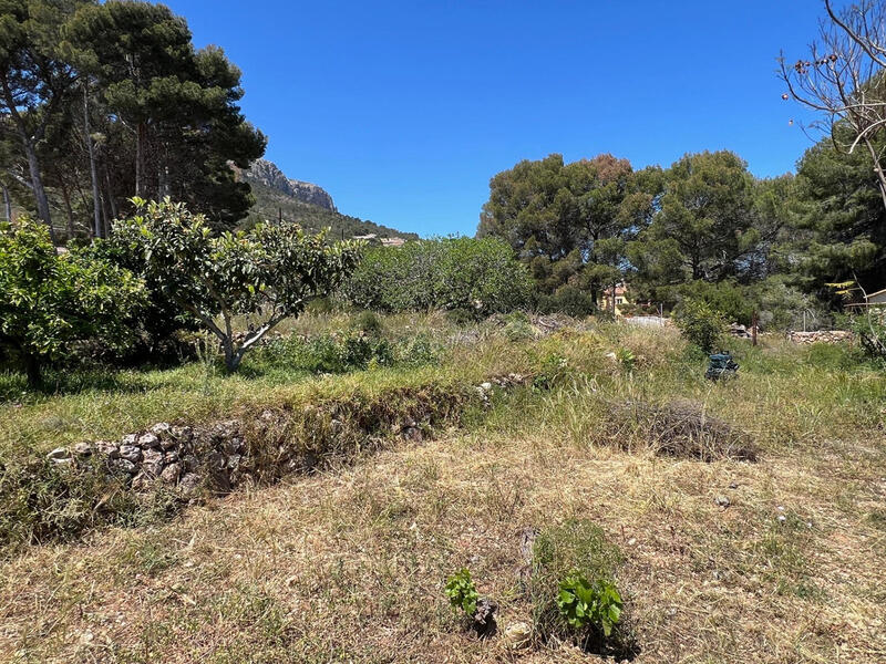 4 chambre Villa à vendre