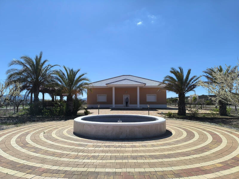 Villa for sale in Pinoso, Alicante