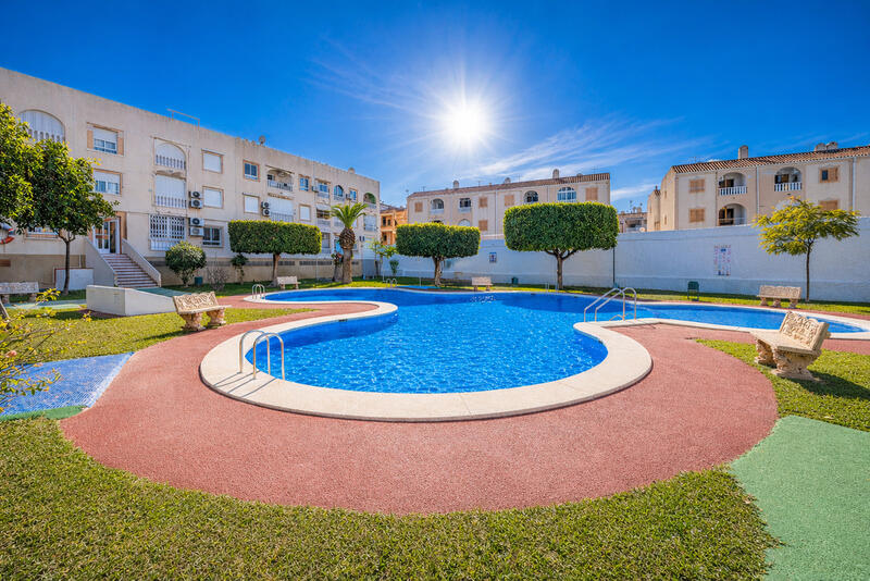 Leilighet til salgs i Torrevieja, Alicante