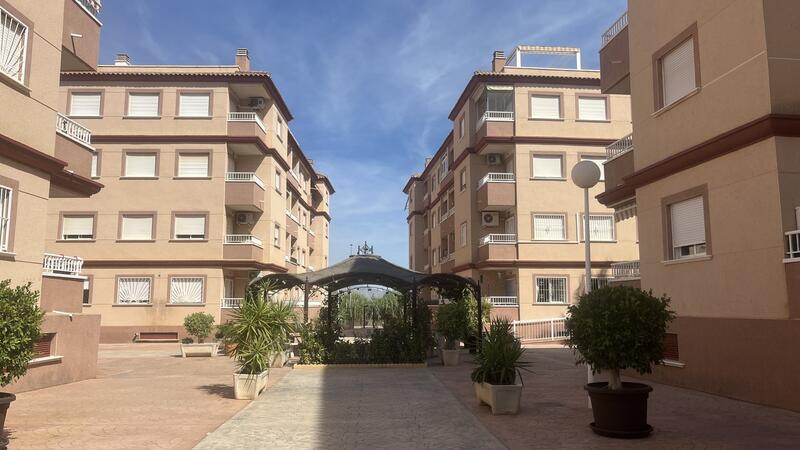 Apartment for sale in Algorfa, Alicante