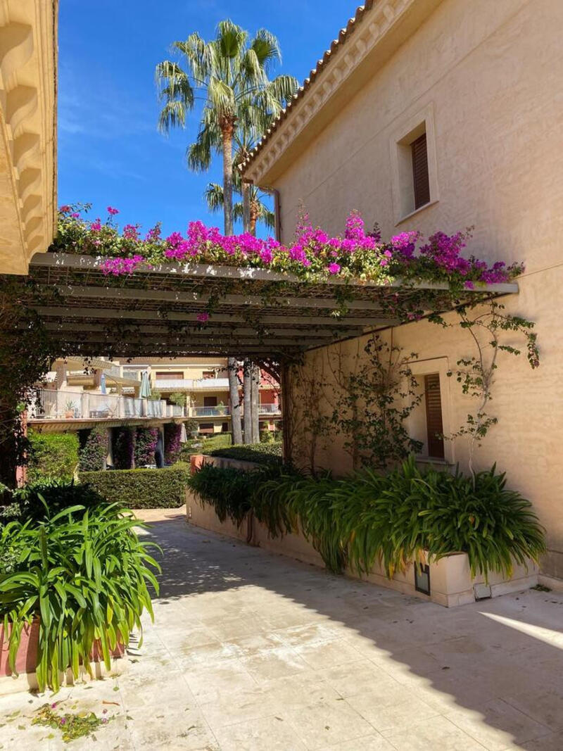 3 Cuarto Apartamento en venta