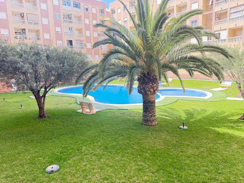 2 Cuarto Apartamento en venta 2 Cuarto Apartamento en venta