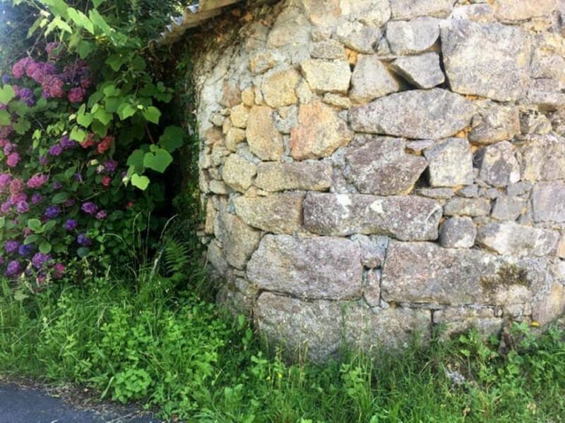 4 chambre Auberge à vendre