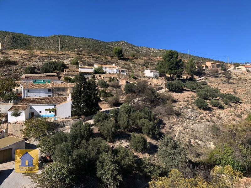 4 Cuarto Casa de Campo en venta