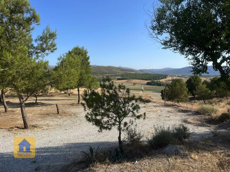 4 bedroom Cave House for sale