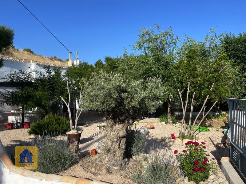 4 bedroom Cave House for sale