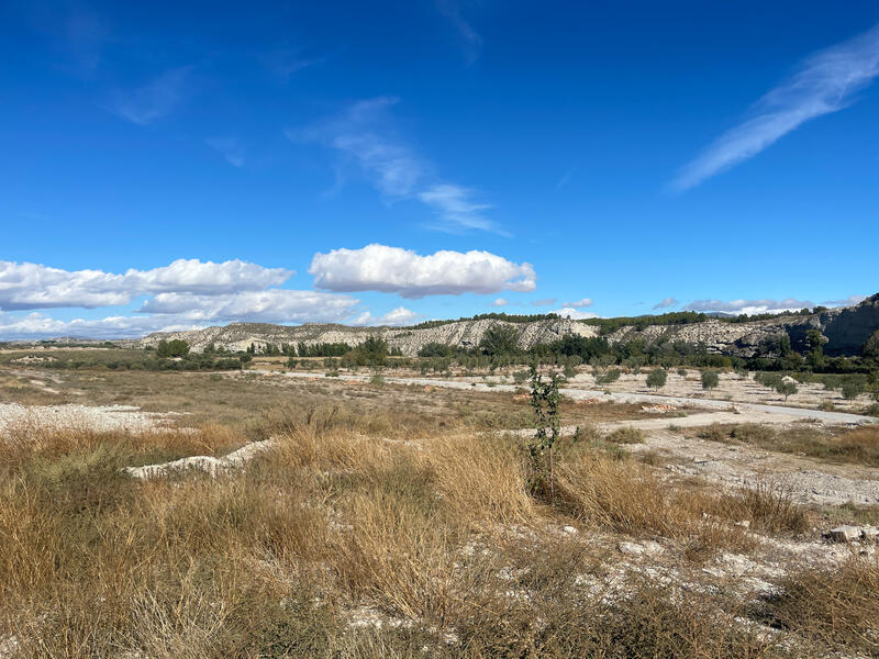 10 bedroom Cave House for sale