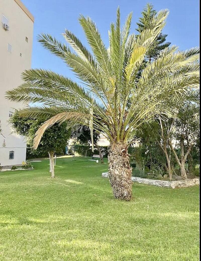 1 bedroom Apartment for Long Term Rent