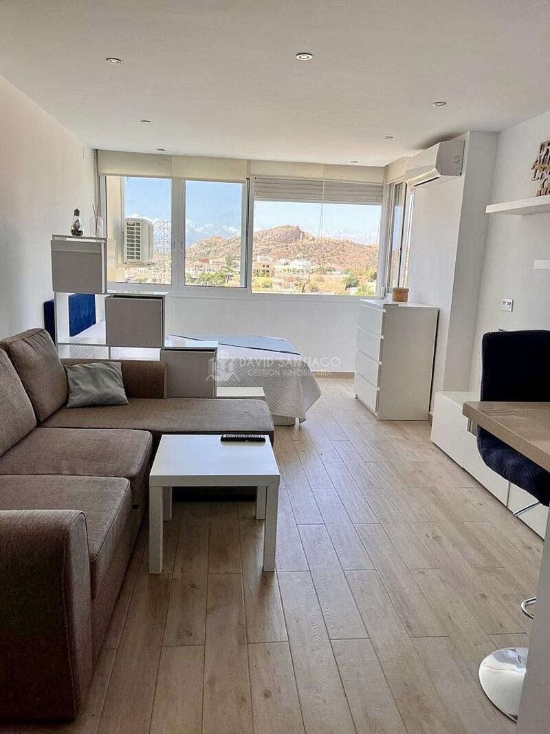 1 bedroom Apartment for Long Term Rent