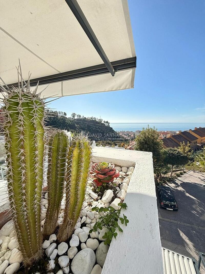 1 bedroom Apartment for Long Term Rent 1 bedroom Apartment for Long Term Rent