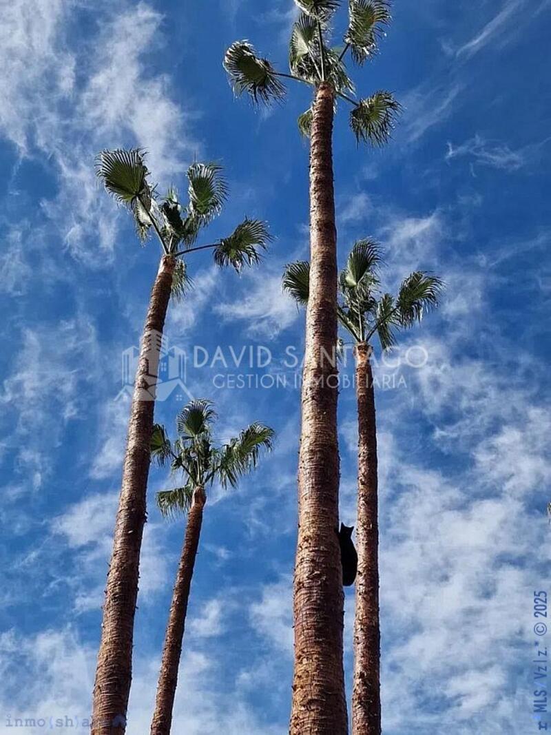 3 chambre Maison de Ville à vendre