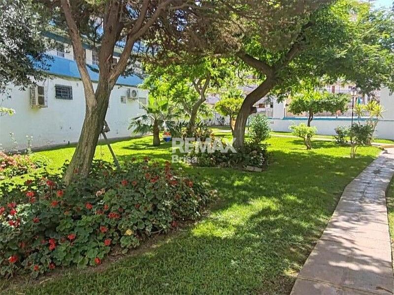 3 Cuarto Apartamento en venta 3 Cuarto Apartamento en venta