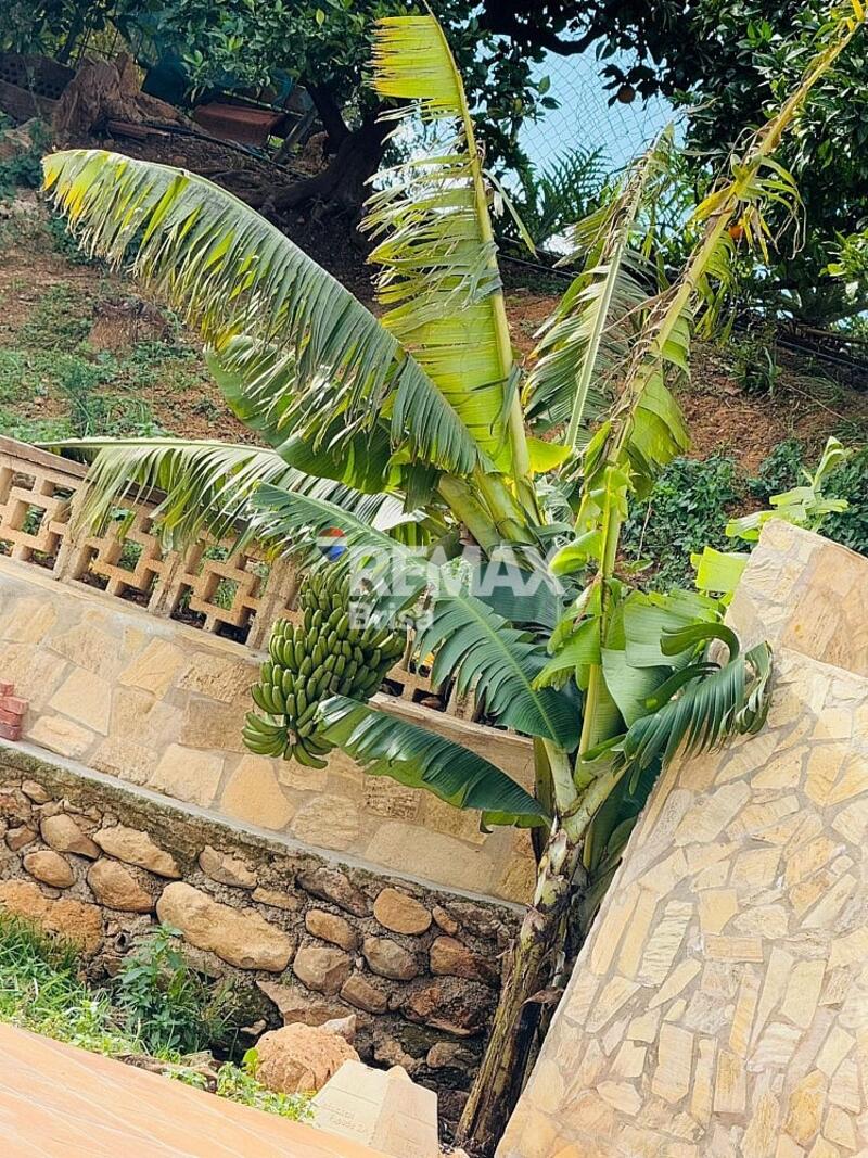 вилла в долгосрочную аренду вилла в долгосрочную аренду