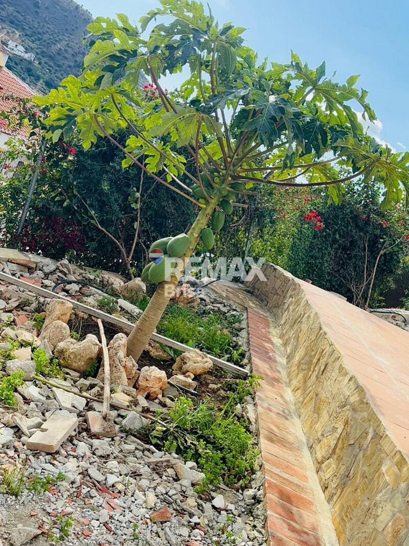 вилла в долгосрочную аренду вилла в долгосрочную аренду