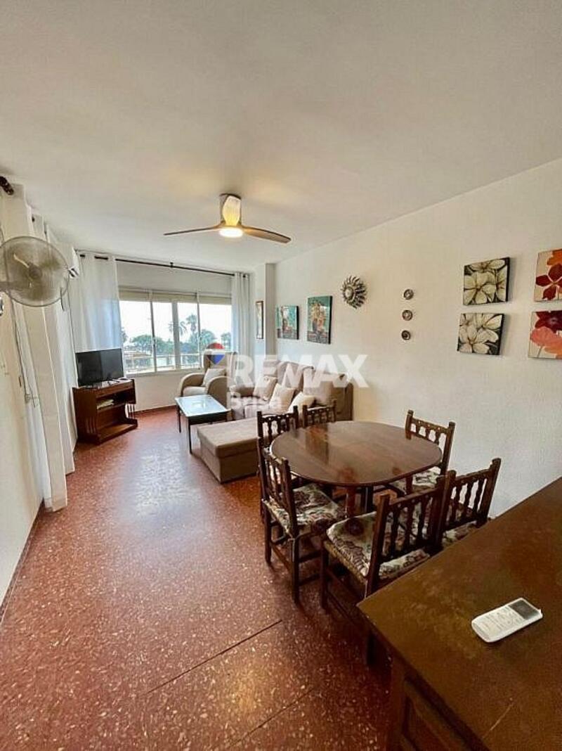 1 bedroom Apartment for Long Term Rent 1 bedroom Apartment for Long Term Rent