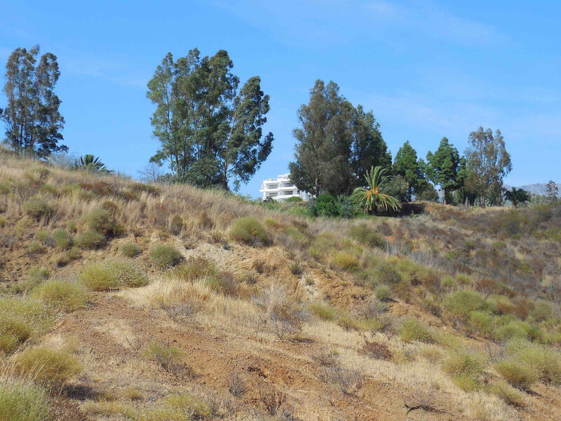 5 bedroom Villa for sale