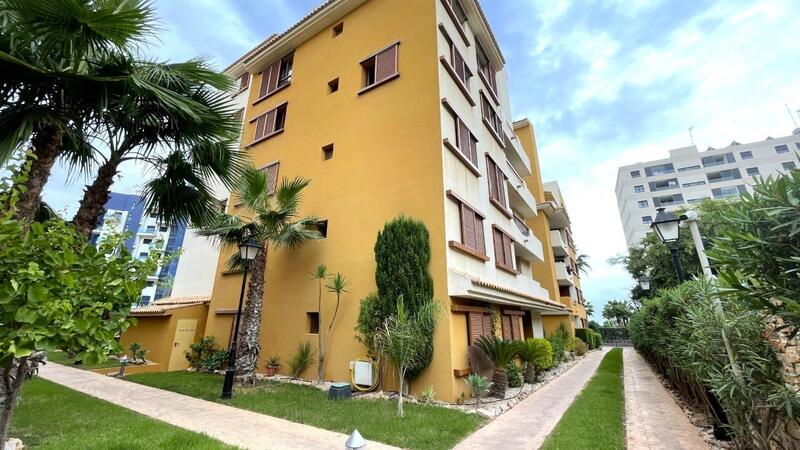 2 Cuarto Apartamento en venta