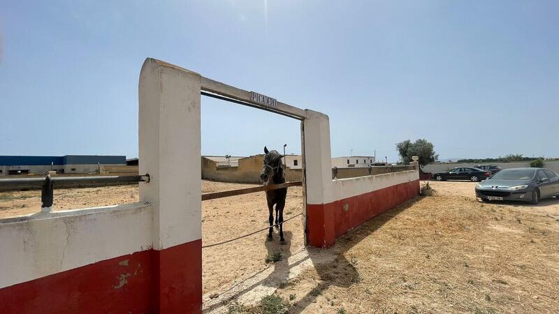 Terrenos en venta