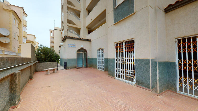 3 Cuarto Apartamento en venta