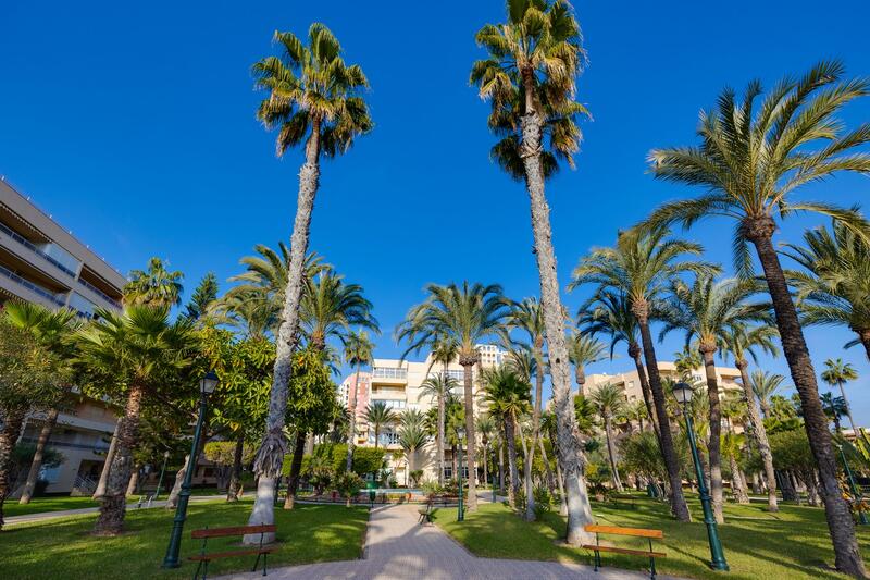 5 slaapkamer Appartement Te koop 5 slaapkamer Appartement Te koop