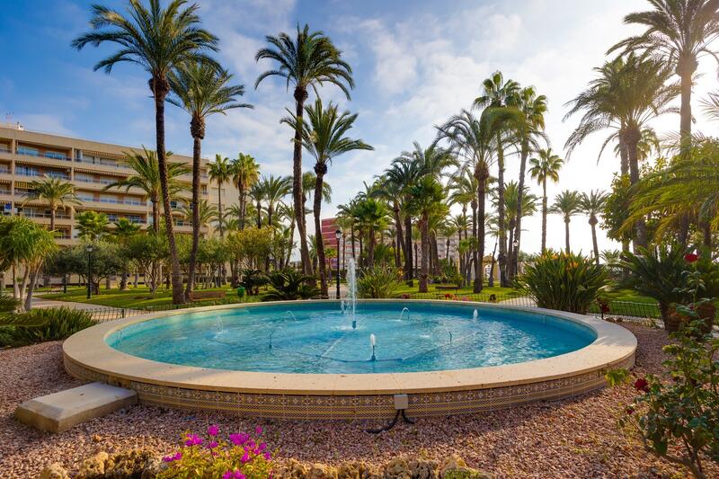 5 slaapkamer Appartement Te koop 5 slaapkamer Appartement Te koop