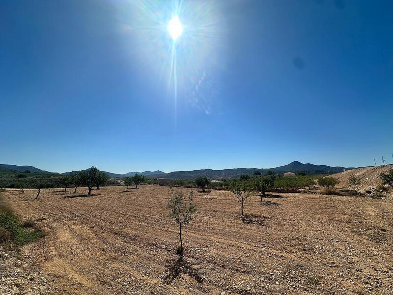 Terrain à vendre