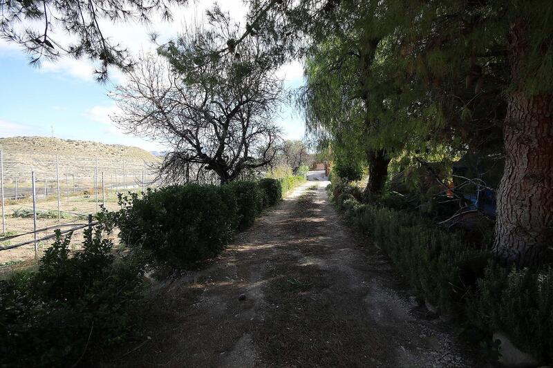 7 Cuarto Villa en venta