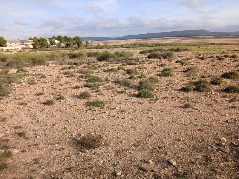 Terrain à vendre