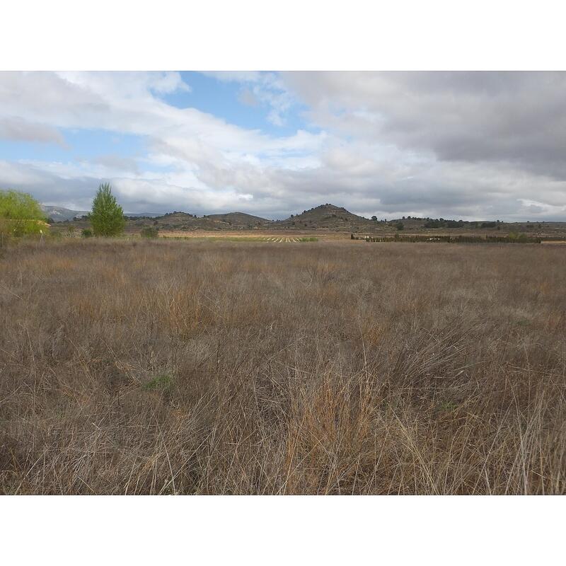 Terrenos en venta