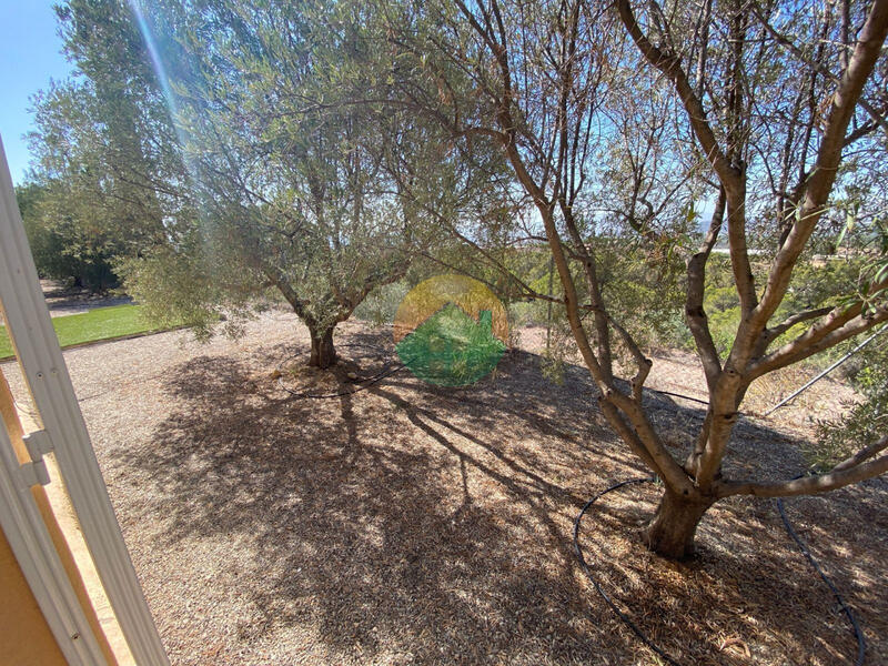 3 Cuarto Casa de Campo en venta