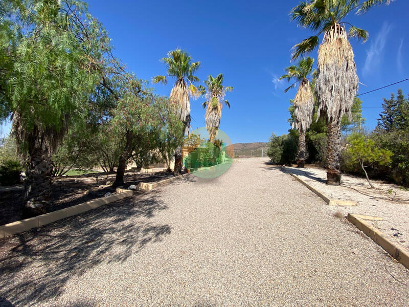 3 Cuarto Casa de Campo en venta