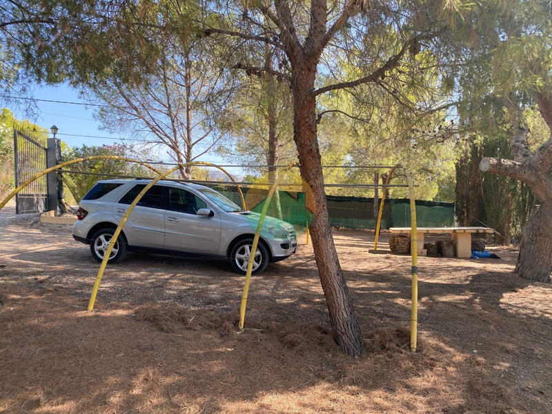 3 Cuarto Casa de Campo en venta