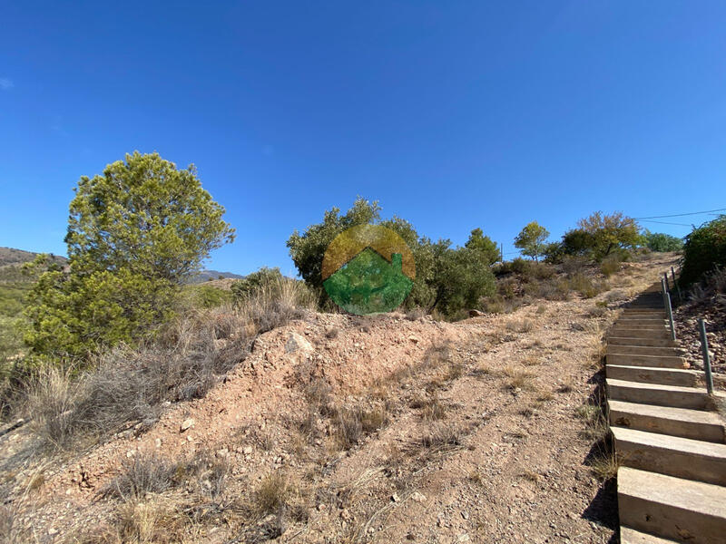 3 Cuarto Casa de Campo en venta