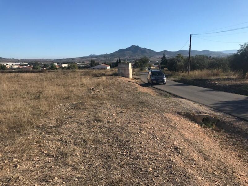Grundstück zu verkaufen in Salinas, Alicante