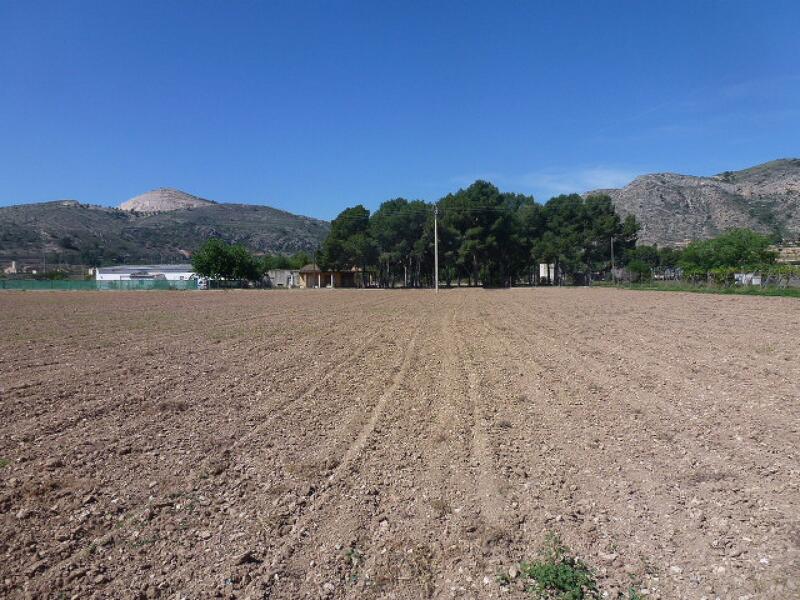 Terrain à vendre dans Aspe, Alicante