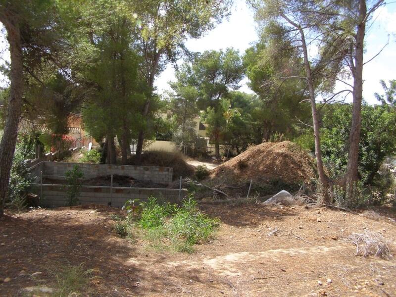 Land for sale