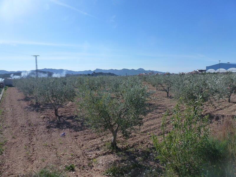 Land til salgs i Macisvenda, Murcia